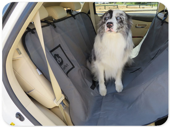 מגן מושבים לרכב לכלבים לונה פט LUNA PET