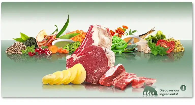 אוכל לכלבים פלטינום PLATINUM בוגר בקר ותפוח אדמה