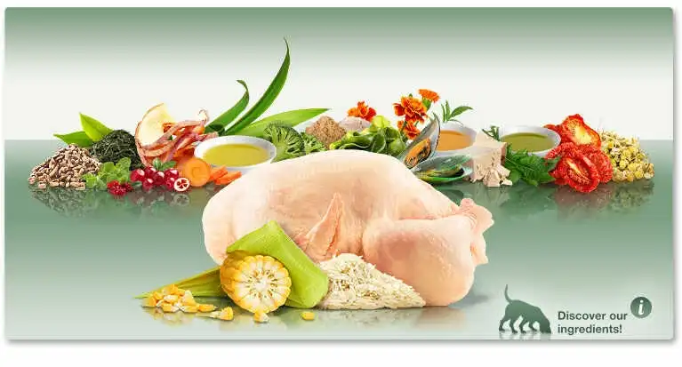 מזון לכלבים פלטינום PLATINUM לייט עוף ואורז