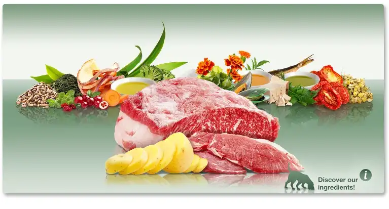 מזון לכלבים פלטינום PLATINUM בוגר חזיר ותפוח אדמה