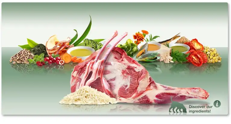 מזון לכלבים פלטינום PLATINUM בוגר כבש ואורז