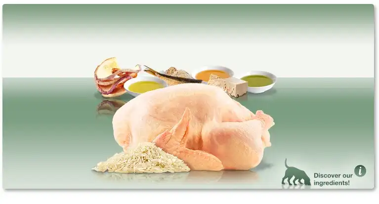 אוכל לכלבים פלטינום PLATINUM גורים עוף ואורז