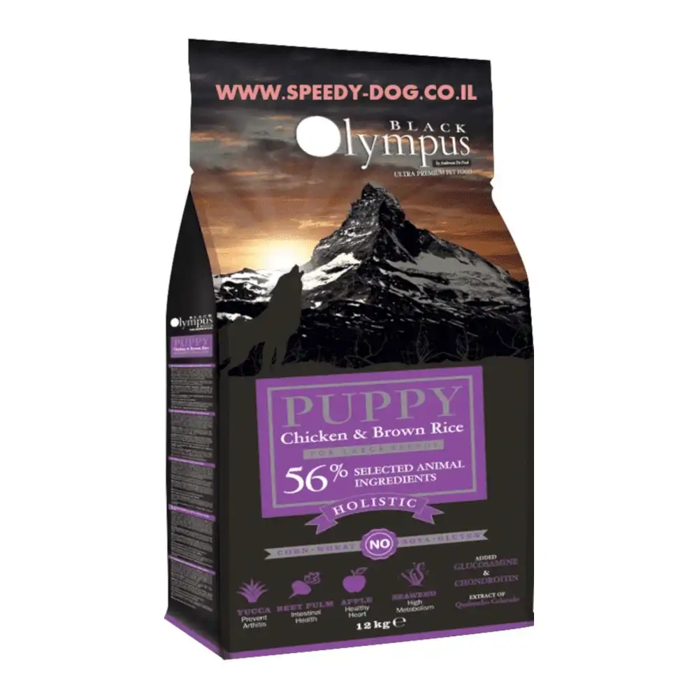 בלאק אולימפוס BLACK OLYMPUS גור גזע גדול