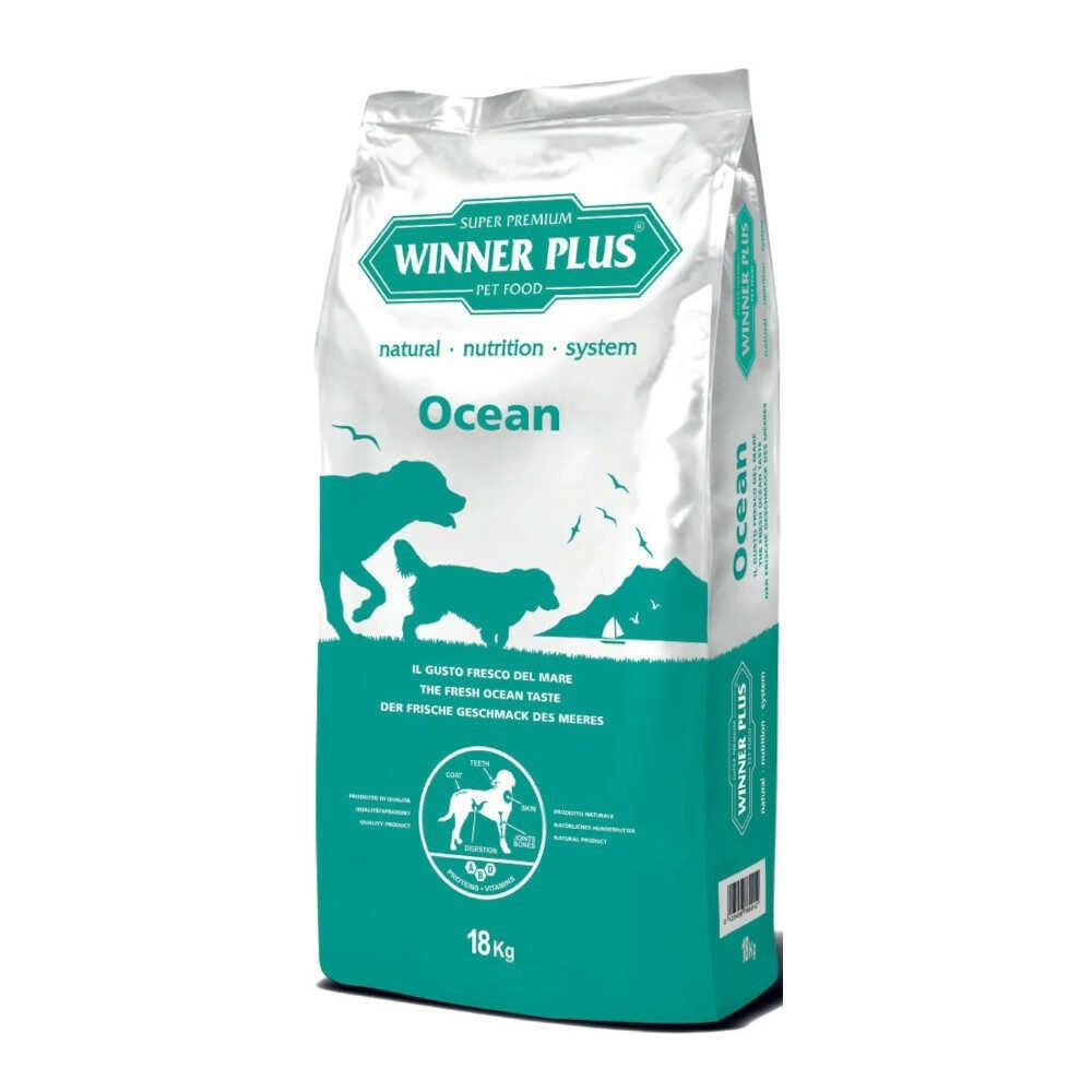 מזון לכלבים אושן  OCEAN סלמון ואורז