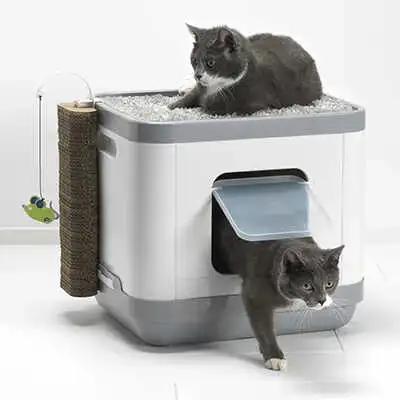 ארגז צרכים סגור לחתול מודרנה MODERNA סמארט