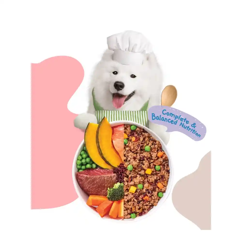 אוכל רטוב לכלבים מוצ‘י Moochie בקר וסלמון