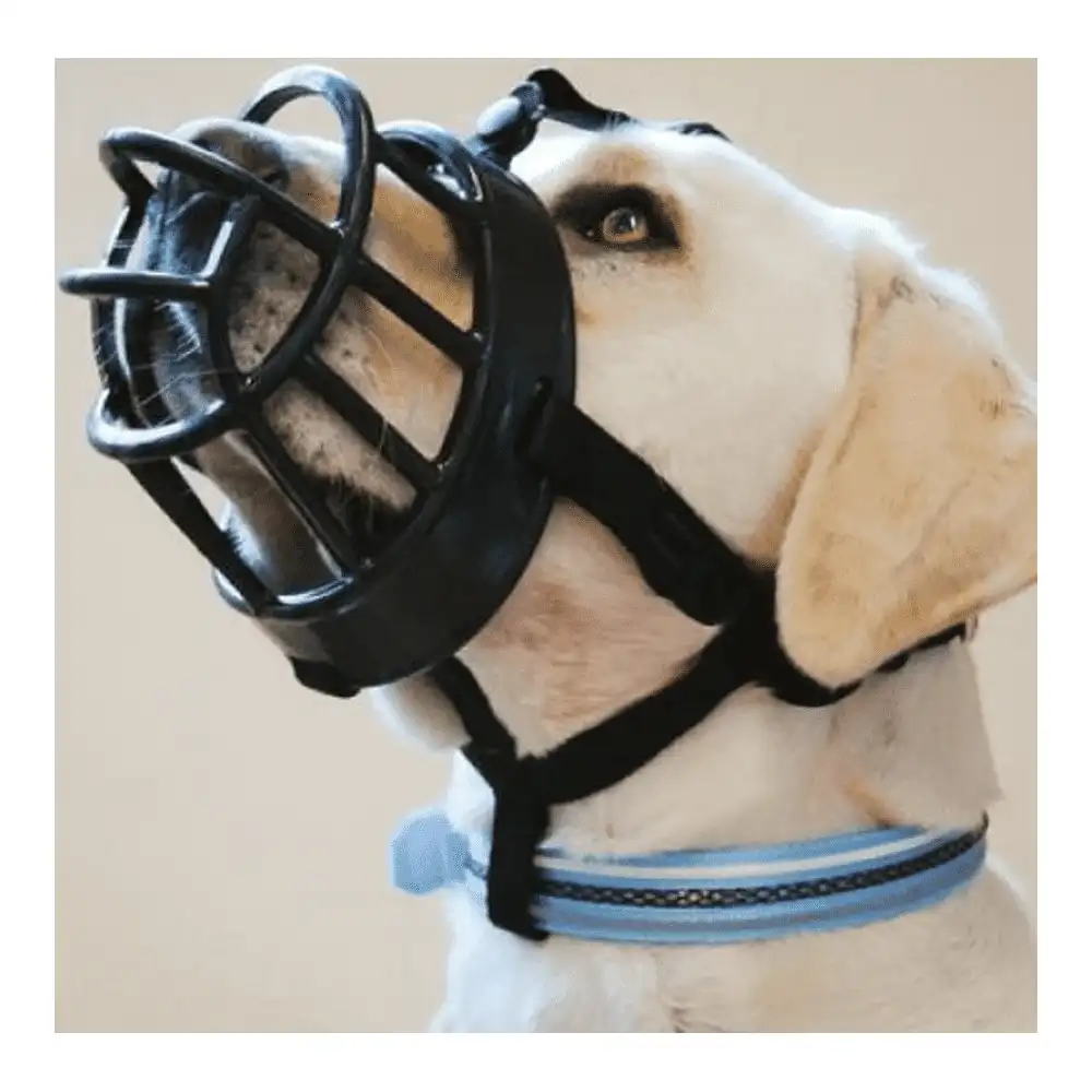 בסקרוויל BASKERVILLE - מחסום איכותי לכלב