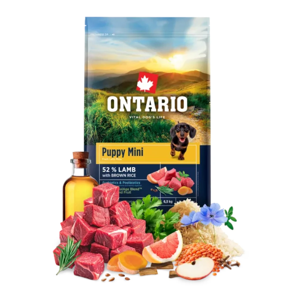 מזון לגורים גזע קטן אונטריו ONTARIO כבש ואורז