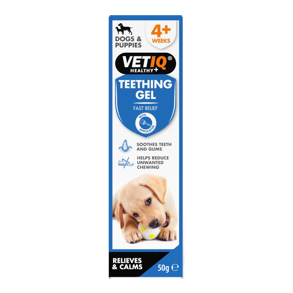 VETIQ ג‘ל אנטיבקטריאלי לניקוי שיניים לכלבים