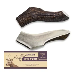 קרן אייל אדום חצויה L סיווג AA