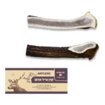 קרן אייל אדום חצויה M סיווג AA