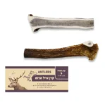 קרן אייל אדום חצויה S סיווג AA