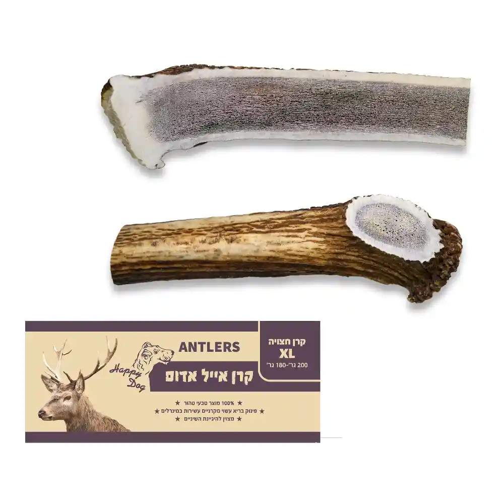 קרן אייל אדום חצויה XL סיווג AA