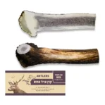 קרן אייל אדום חצויה XXL סיווג AA