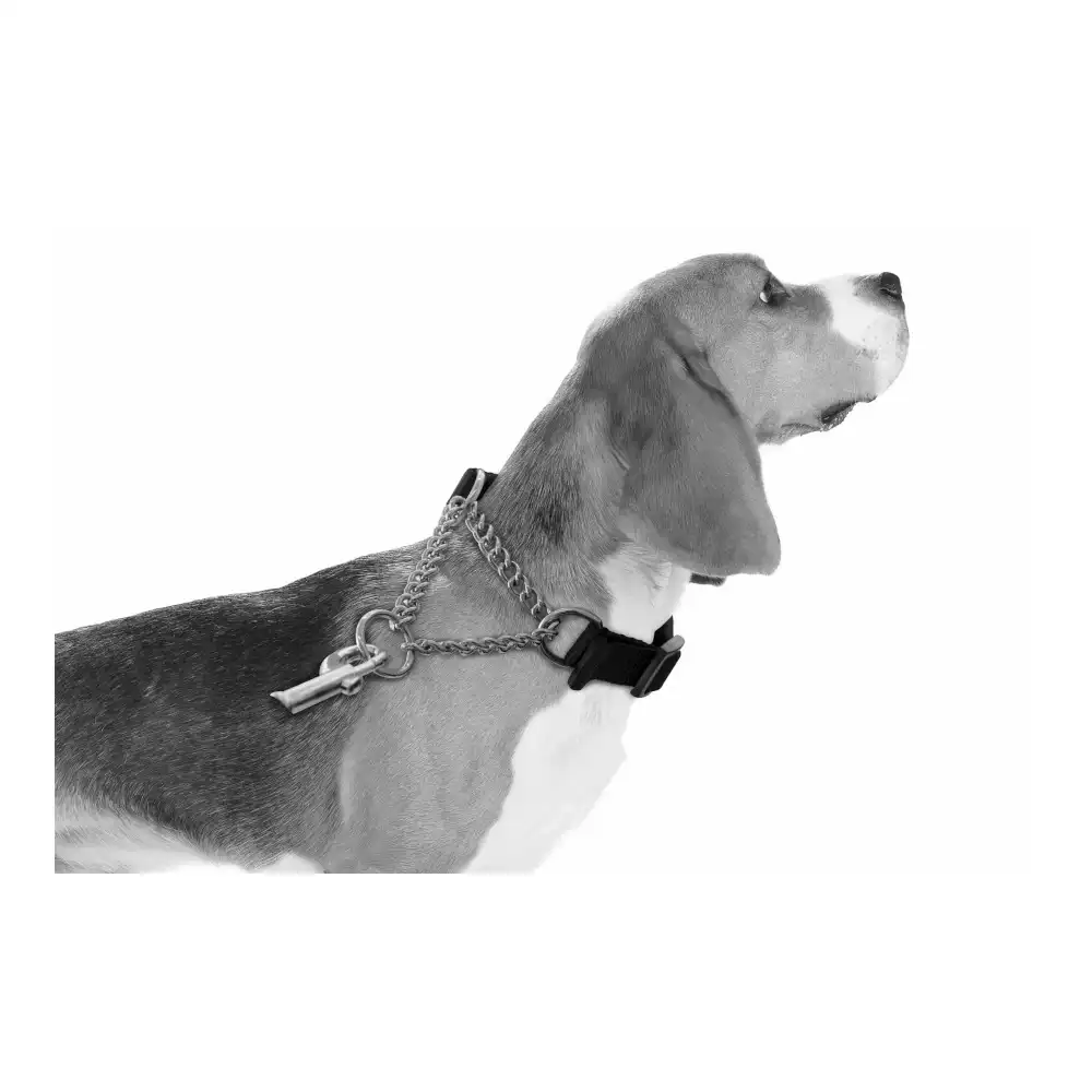 קולר קומבי חצי חנק M-PETS  למניעת משיכה