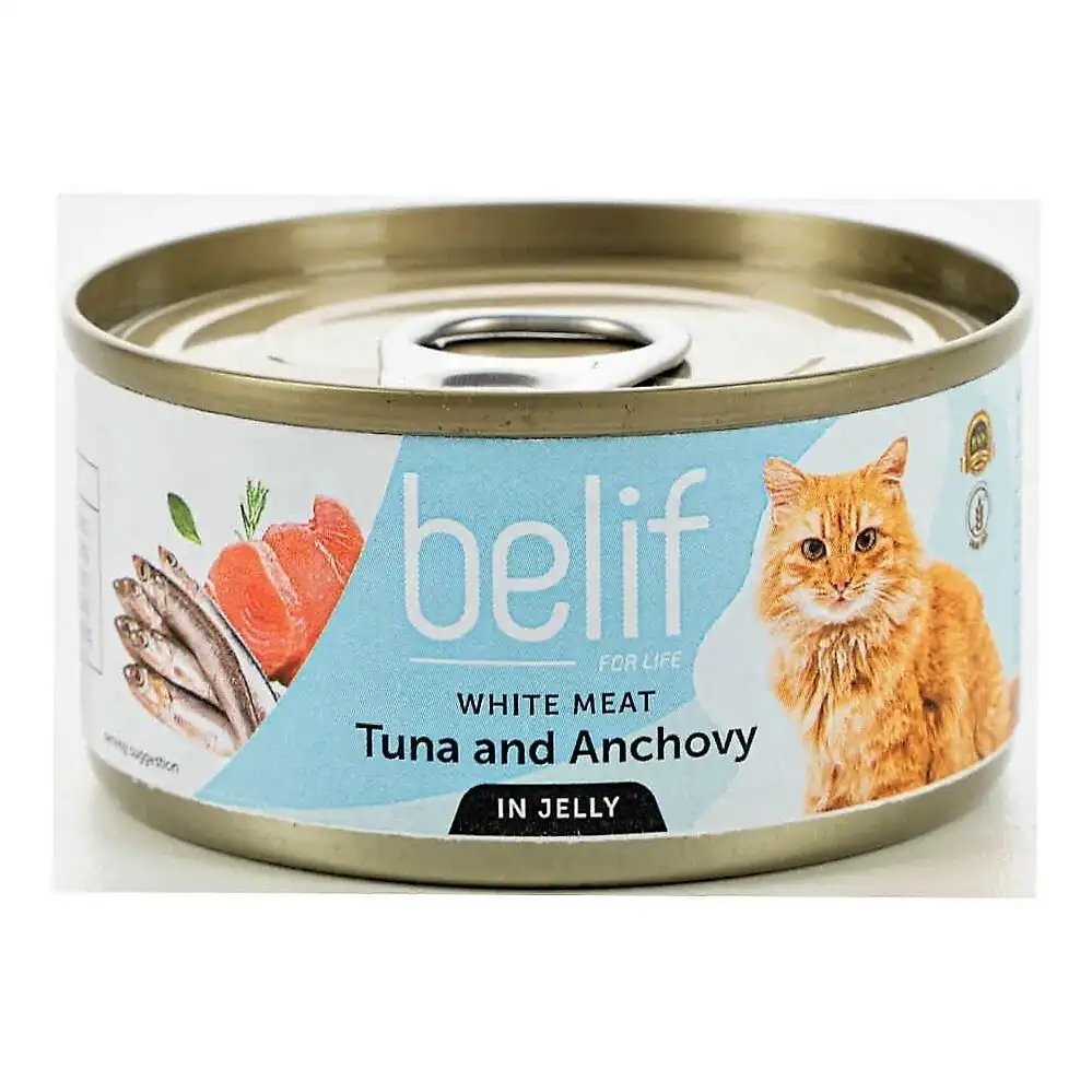 מעדן לחתול בליף – belife טונה ואנשובי בג‘לי