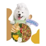 אוכל רטוב לכלבים מוצ‘י Moochie עוף, בטטה וסופר פוד