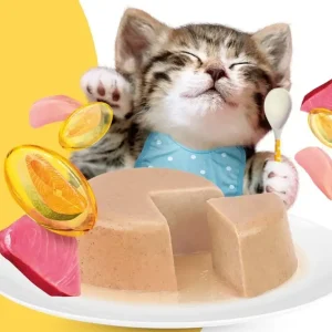 מעדן מוס לגורי חתולים מוצ‘י – MOOCHIE עוף וטונה