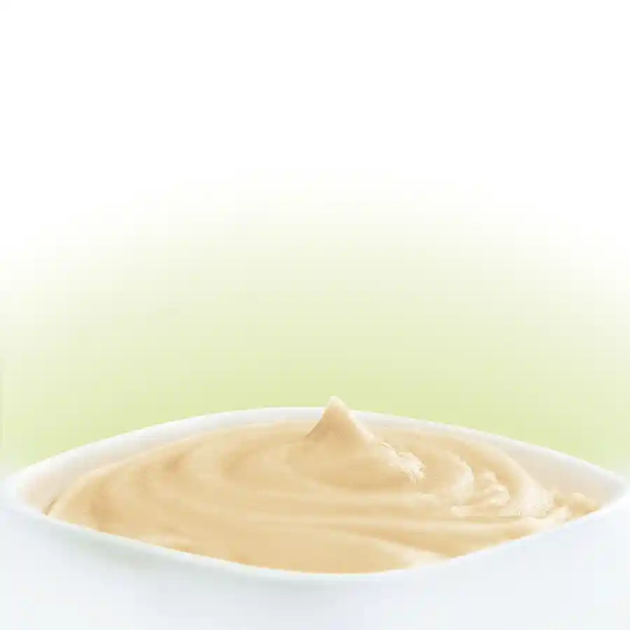 מעדן קאט פסט Cat Fest מוס עוף לגורי חתולים