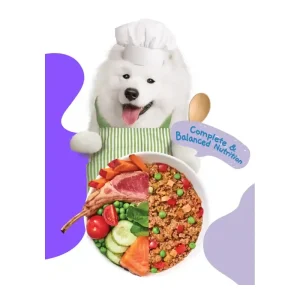 אוכל רטוב לכלבים מוצ‘י Moochie כבש וסלמון