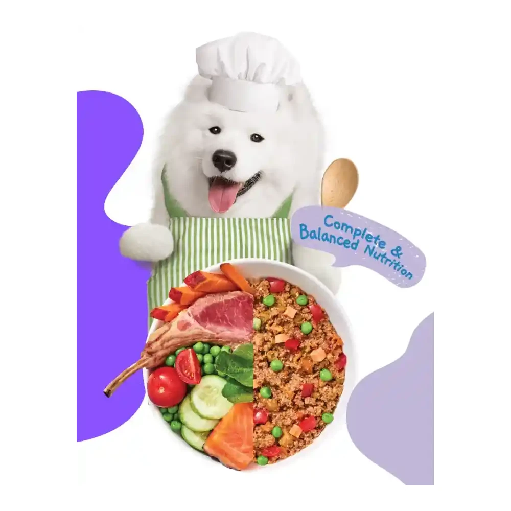 אוכל רטוב לכלבים מוצ‘י Moochie כבש וסלמון