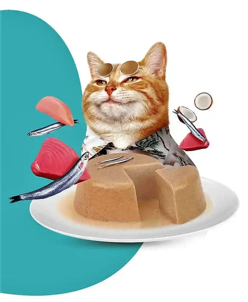 מעדן לחתול מוצ'י – MOOCHIE עוף, טונה ואנשובי לעיכול בריא