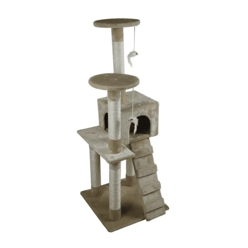 מתקן גרוד וטיפוס לחתולים אדם