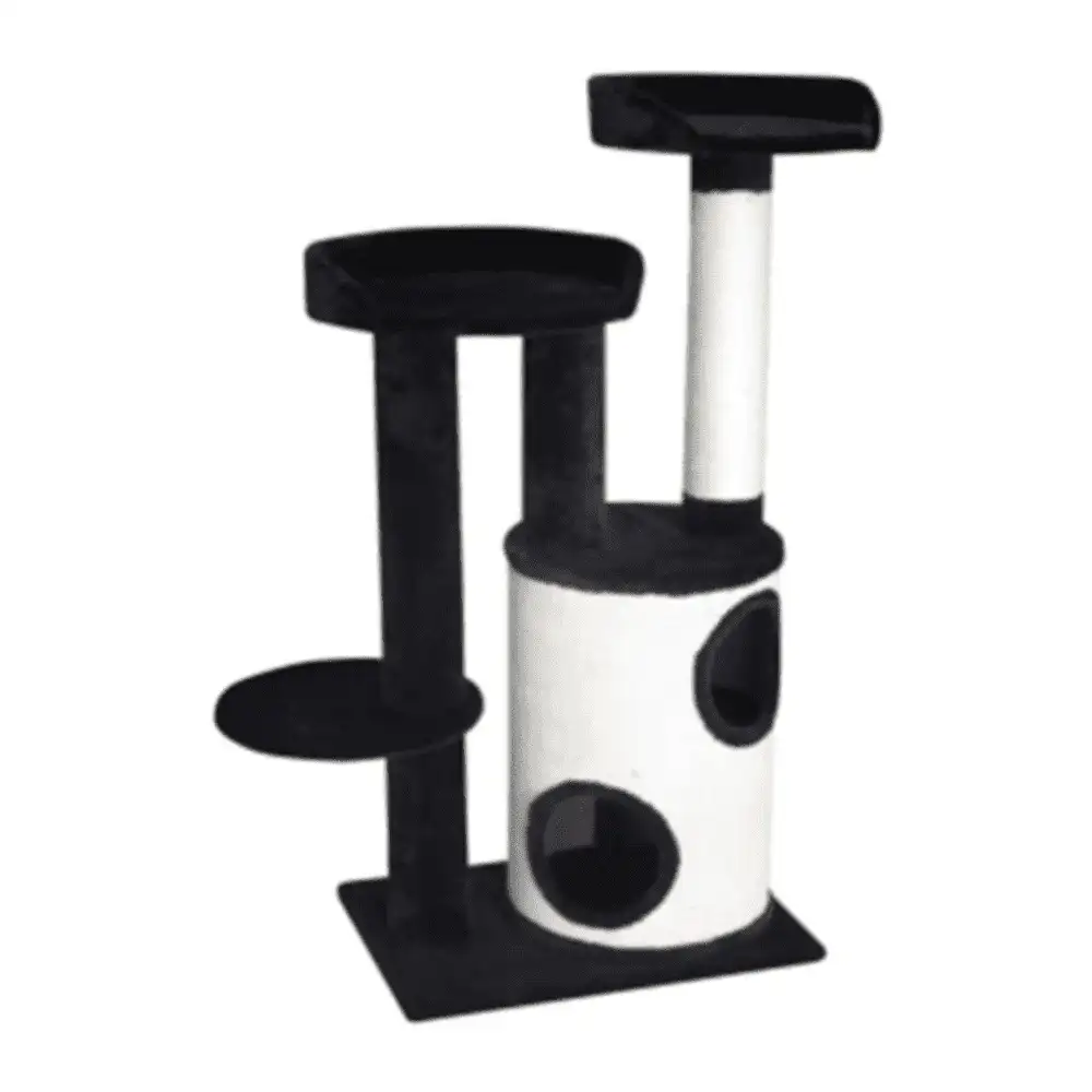 מתקן גרוד וטיפוס לחתול דנה מתקן גרוד וטיפוס לחתול