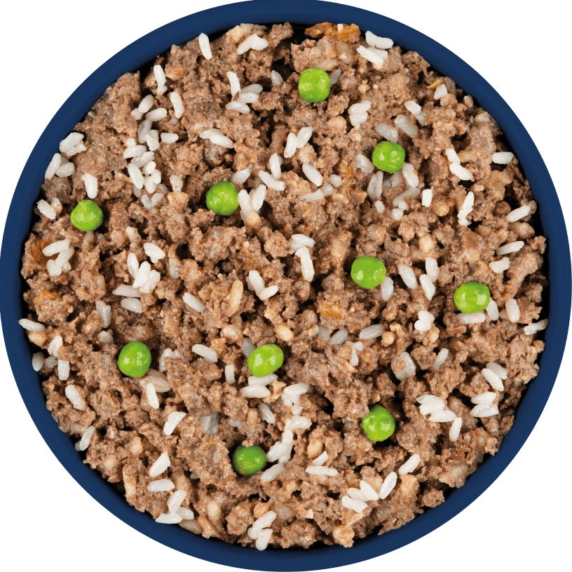 מזון כלבים Natsbi חזיר איברי והודו