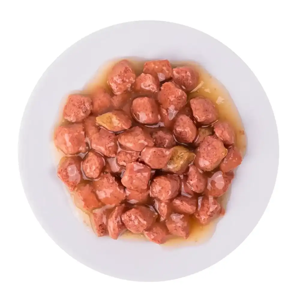 מעדן פאוץ‘ לחתול פלאז‘יר PLAISIR דג פורל