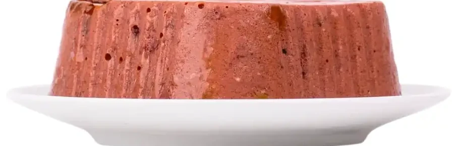 שימור לכלב פלאז‘יר PLAISIR הודו