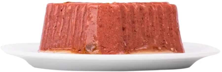 שימור לכלב פלאז‘יר PLAISIR עוף