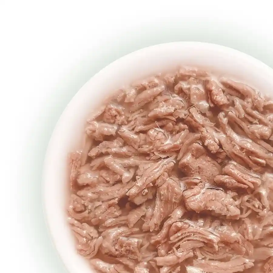 מעדן חתולים קאט פסט Cat Fest נתחי ברווז בג‘לי