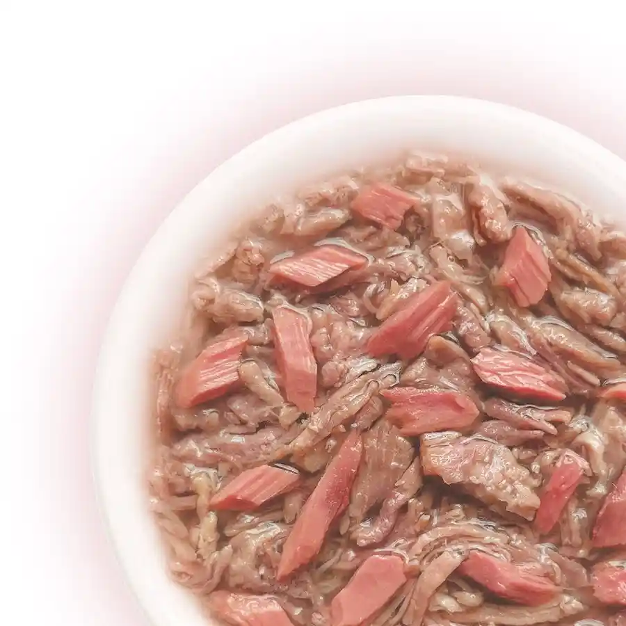 מעדן חתולים קאט פסט Cat Fest נתחי ברווז וטונה בג‘לי