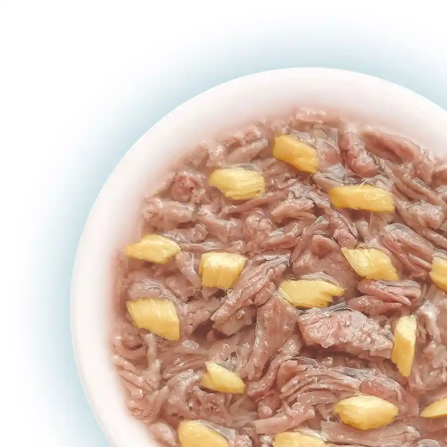 מעדן לחתול קאט פסט Cat Fest נתחי ברווז וסלמון בג‘לי