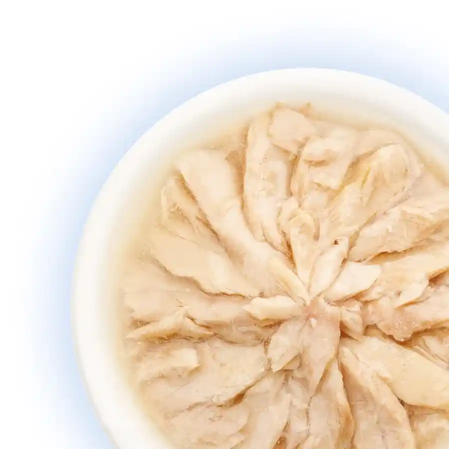 מעדן לחתול קאט פסט Cat Fest נתחי טונה בג‘לי