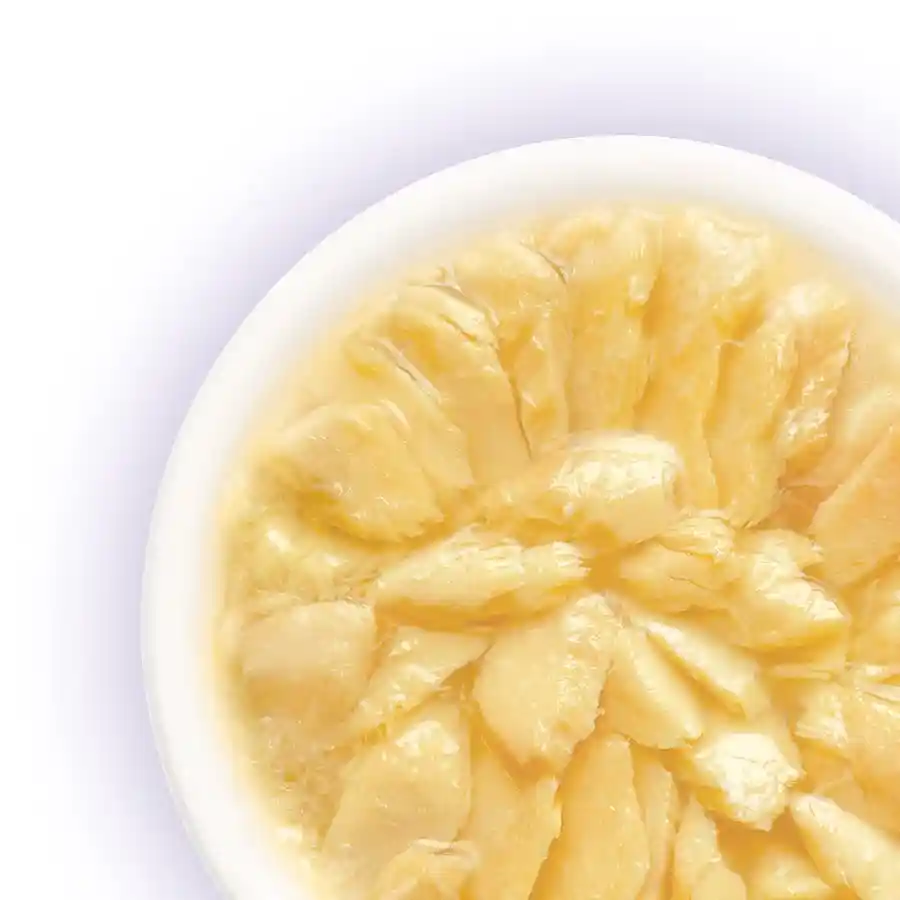 מעדן חתולים קאט פסט Cat Fest נתחי סלמון בג‘ל