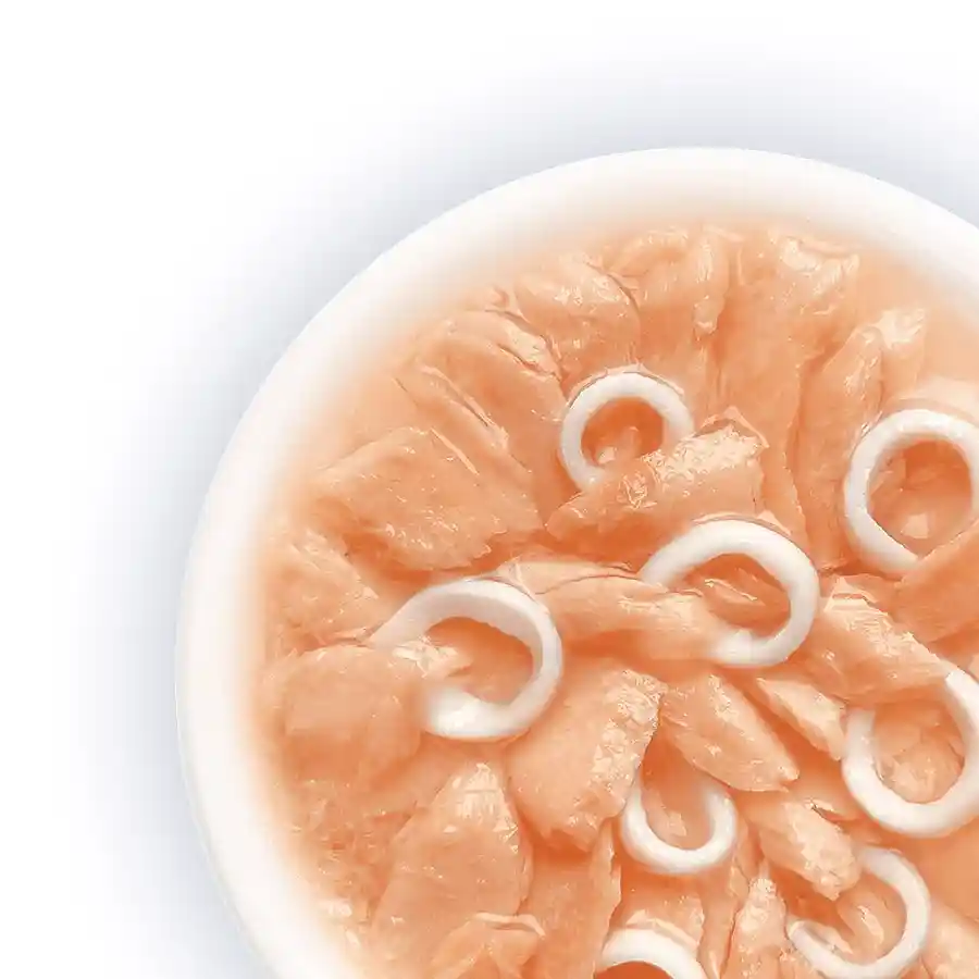 מעדן לחתול קאט פסט Cat Fest נתחי סלמון וקלמרי בג‘לי