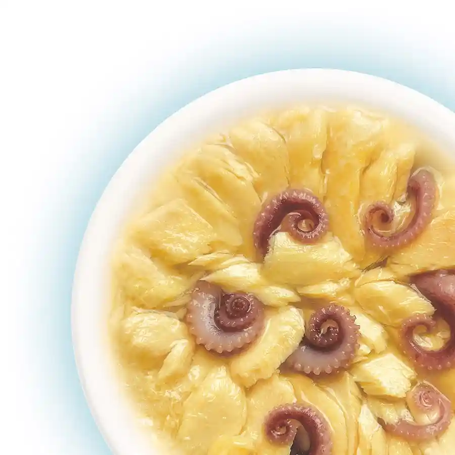 מעדן לחתול קאט פסט Cat Fest נתחי סלמון ותמנון בג‘לי