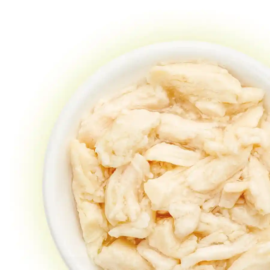 מעדן לחתול קאט פסט Cat Fest נתחי עוף בג‘לי