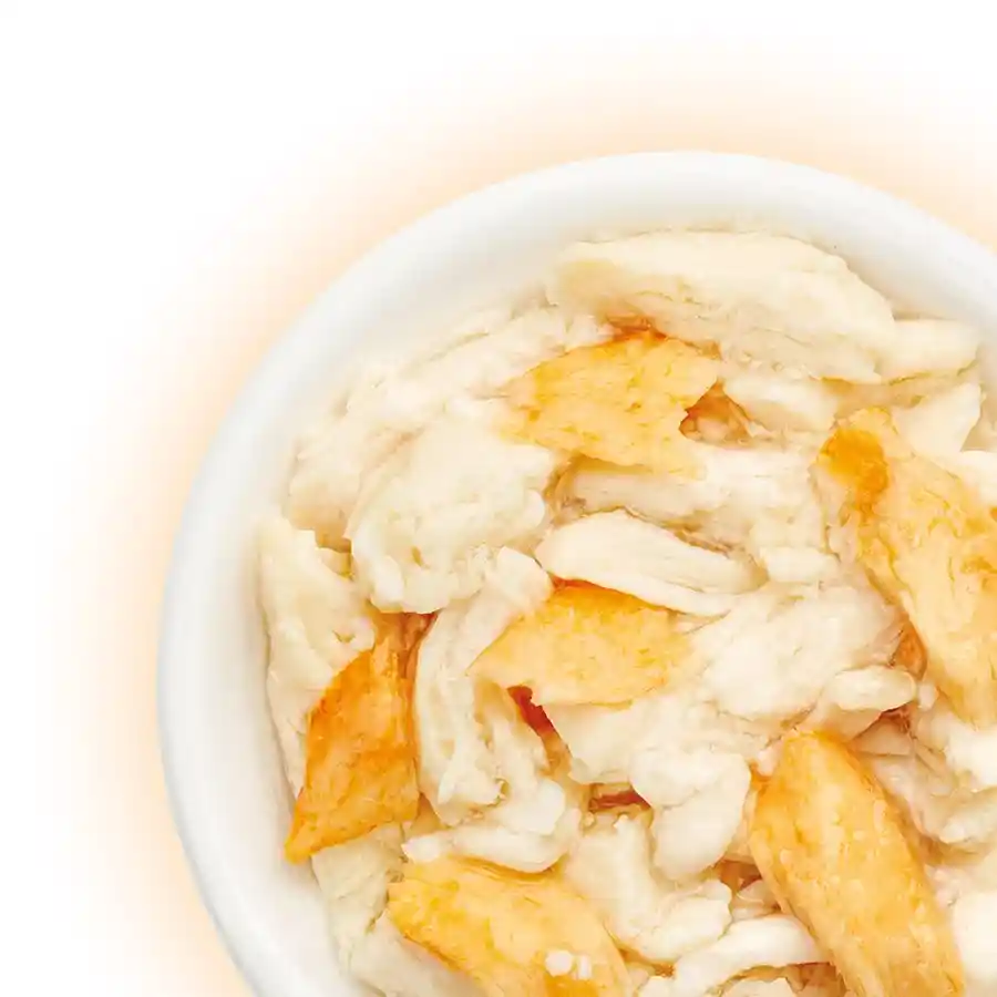 מעדן  קאט פסט Cat Fest נתחי עוף וסלמון בג‘לי