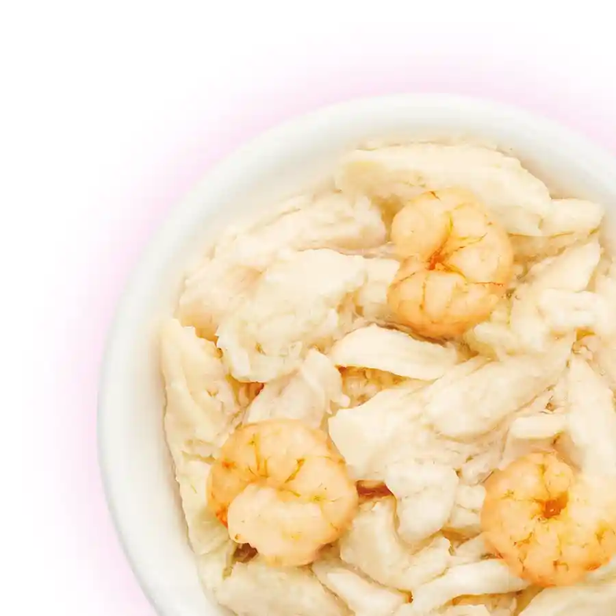 מעדן חתול קאט פסט Cat Fest נתחי עוף ושרימפס בג‘לי