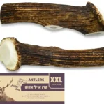 עצם לכלב קרן אייל אדום