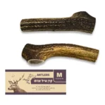 עצם קרן אייל אדום M שלמה