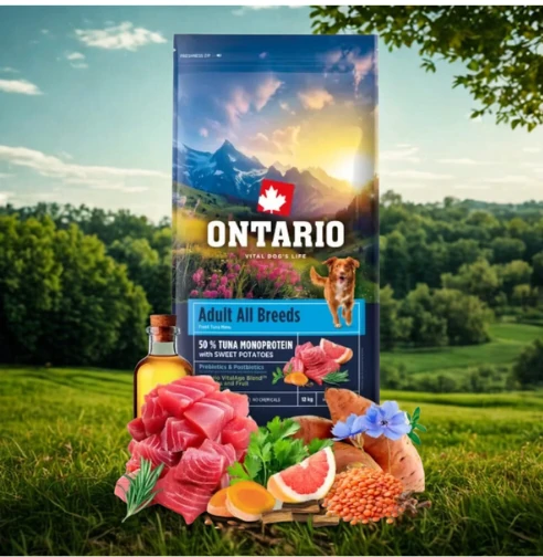 מבצע אונטריו - מבחר מזונות כלבים אונטריו, ציוד ותכשירים לבחירה ב-20% הנחה !!!