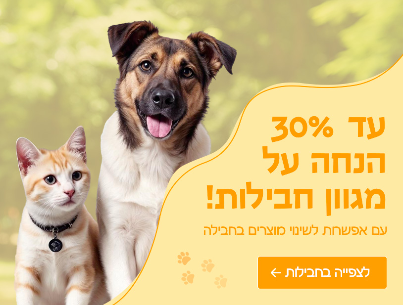 main banner - mobile