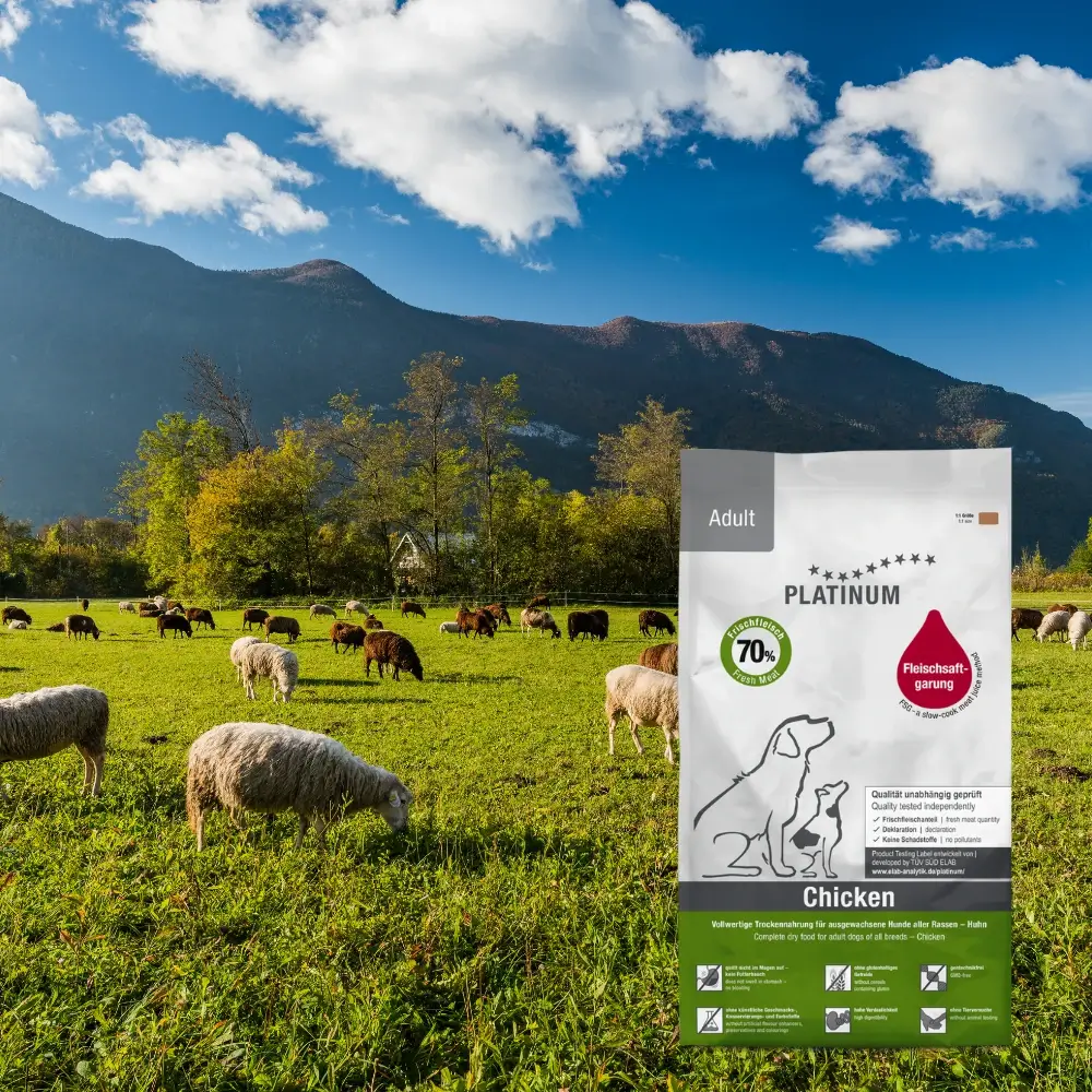 מבצע פלטינום - מבחר מזונות כלבים פלטינום,  ציוד ותכשירים לבחירה ב-20 % הנחה !!!