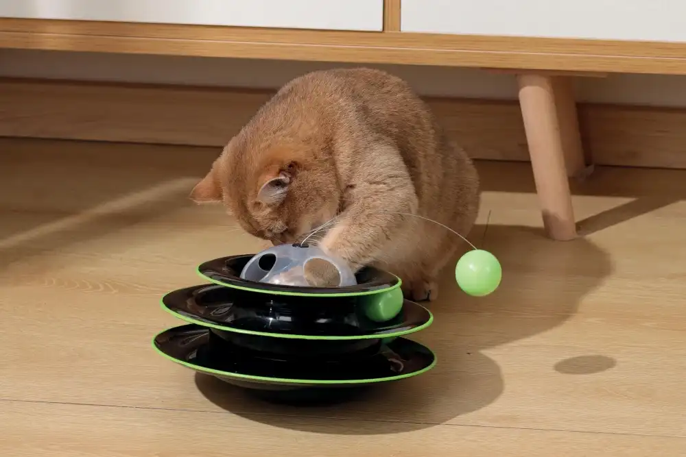 משחק לחתול פליי טאוור