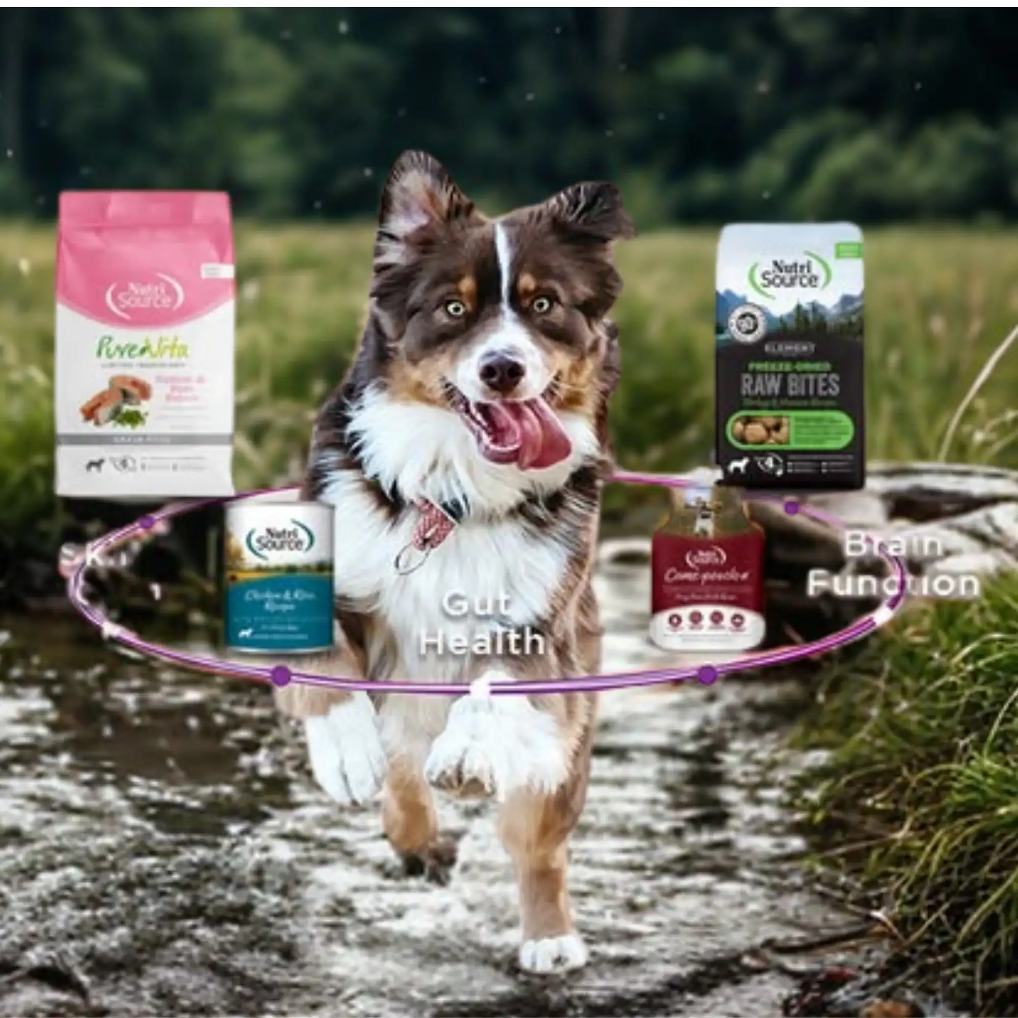 מבצע נוטרי סורס- מבחר מזונות כלבים נוטרי סורס,  ציוד ותכשירים לבחירה ב-20 % הנחה !!!