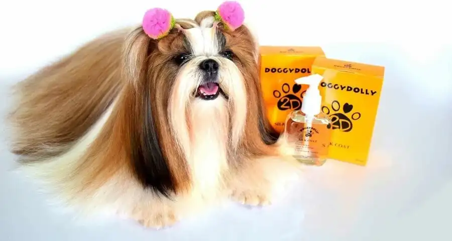 סילק קואט - תכשיר משי לטיפוח הפרווה